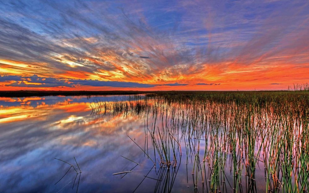 Vibrant Everglades sunset over sawgrass wetlands