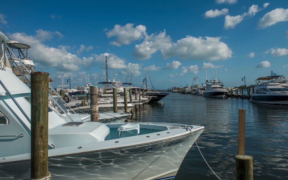 Charter boats at the marina