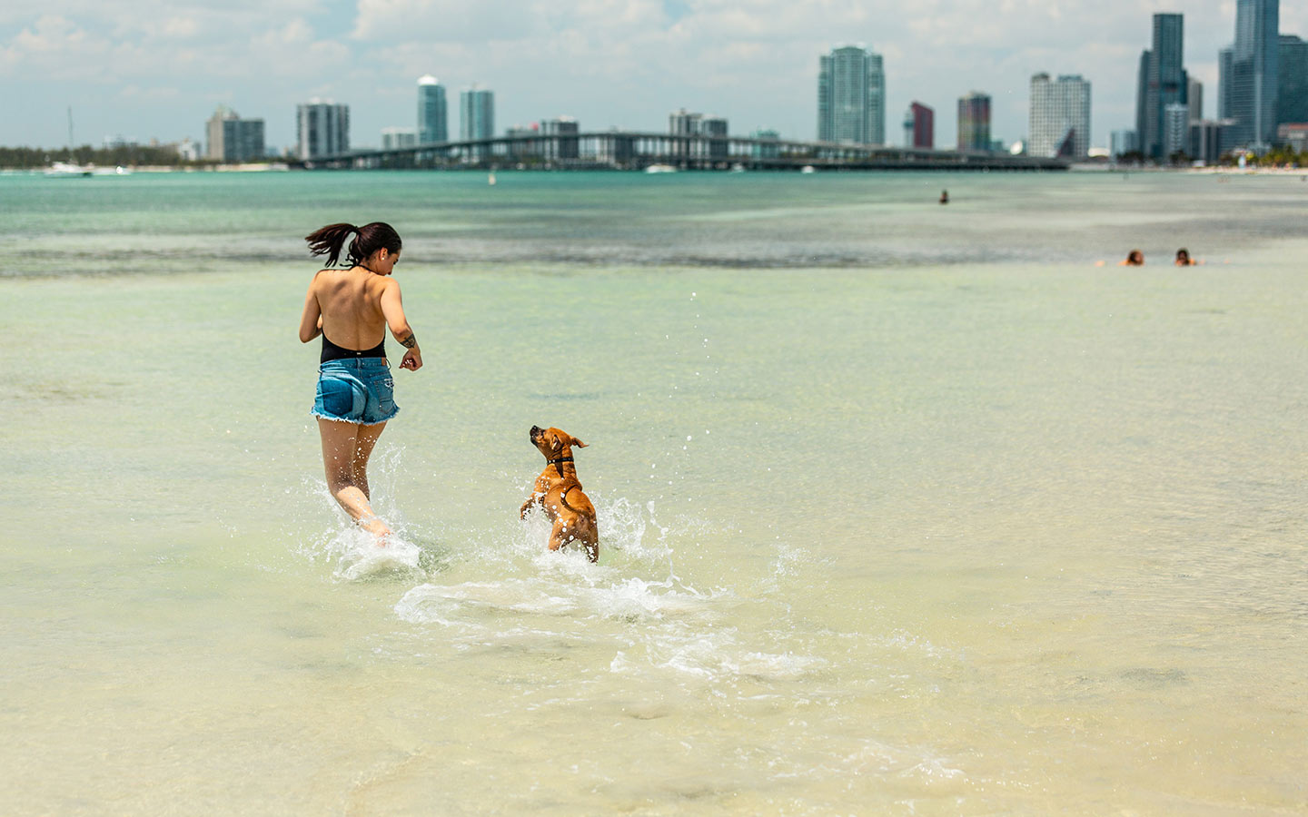 Woman and Dog in the Beach with Rickenbacker Behind