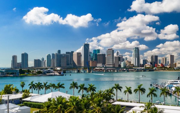 Downtown Miami skyline from across the water