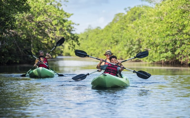 Family kayaking at Matheson Hammock Park