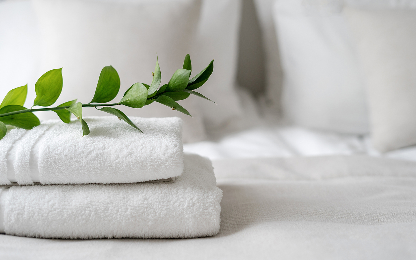 iStock_1425888985_Hotel_bed_greenery_1440x900.jpg