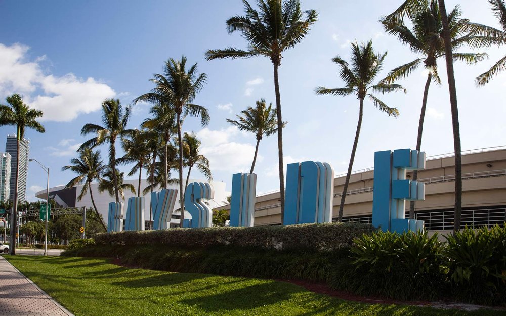 Palm trees in front of Bayside Marketplace