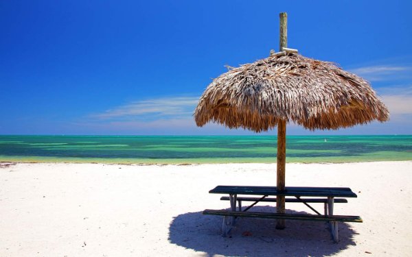 Tiki Hut Bench on the Historic Virginia Key Beach