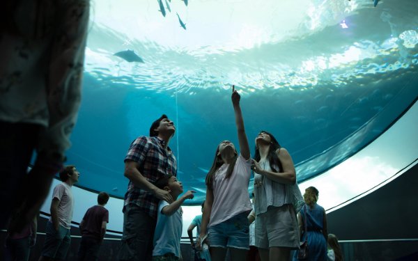 Family at bottom of 31-foot oculus lens at Frost Science Museum Miami