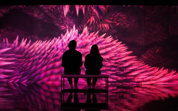 Couple enjoying exhibit in Miami Beach