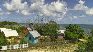 A live view of Virginia Key Beach Park