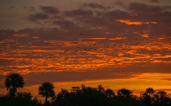 Sunset over Big Cypress National Preserve