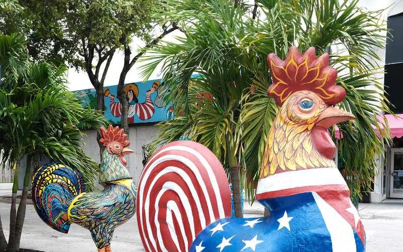 Calle Ocho Rooster