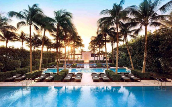 Pools at the Setai between palm trees